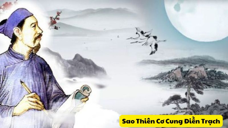 thiên cơ cung điền trạch