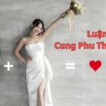 Luận Giải Cung Phu Thê trong Tử Vi