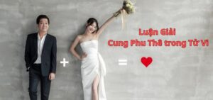 Luận Giải Cung Phu Thê trong Tử Vi: Khám Phá Ý Nghĩa và Tác Động Đến Đời Sống Hôn Nhân